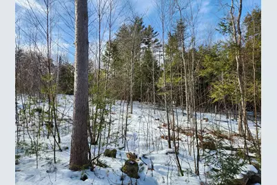 1 Munsey Hill Road #123-10-7, Gilmanton, NH 03237 - Photo 5