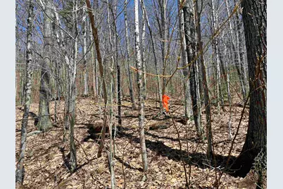 H16 Tobey Road, Campton, NH 03223 - Photo 3