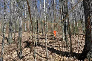 H16 Tobey Rd, Campton, NH 03223 - Photo 3