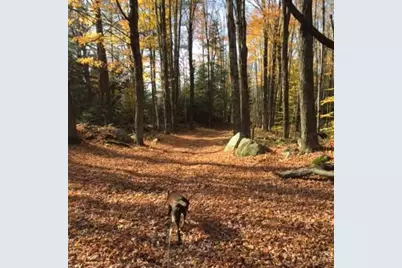 1422 Cabot Road, Woodbury,  05681 - Photo 33