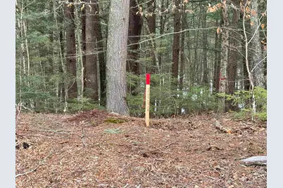 Map 9 Lot 87 Mary Rowe Drive, Hillsboro, NH 03244 - Photo 15