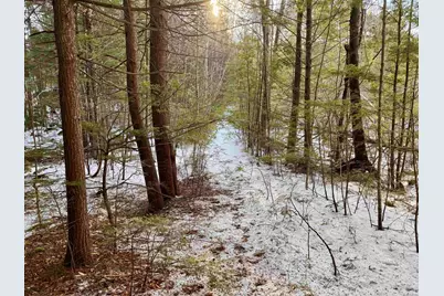 Map 9 Lot 87 Mary Rowe Drive, Hillsboro, NH 03244 - Photo 3