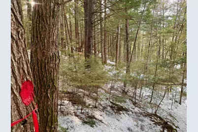 Map 9 Lot 87 Mary Rowe Drive, Hillsboro, NH 03244 - Photo 17