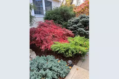 7 Birchwood Drive, Derry, NH 03038 - Photo 59