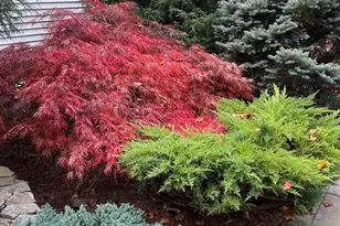 7 Birchwood Dr, Derry, NH 03038 - Photo 59