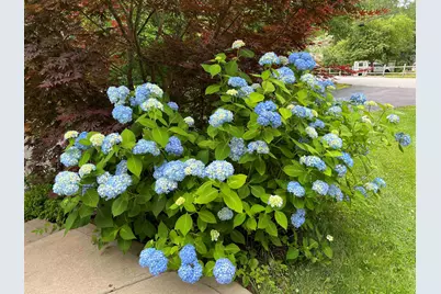 7 Birchwood Drive, Derry, NH 03038 - Photo 49