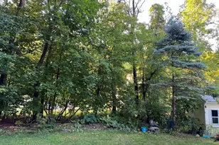 7 Birchwood Dr, Derry, NH 03038 - Photo 55