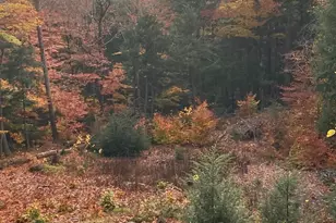 22 Jungfrau Rd, Madison, NH 03849 - Photo 43