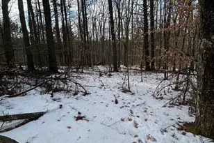 80 Center Hill Rd, Epsom, NH 03234 - Photo 1