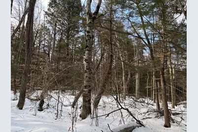 000 East  Washington Road, Washington, NH 03280 - Photo 5