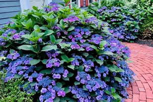 6 Abbey Rd, Bow, NH 03304 - Photo 43