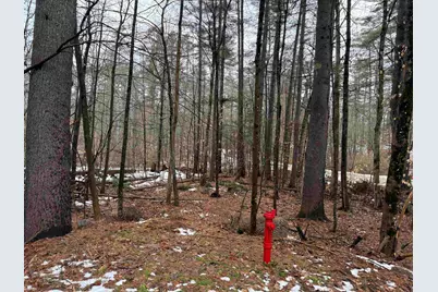 15 Sunrise Place, Hillsboro, NH 03244 - Photo 13