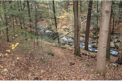 6 Birch Tree Lane, Hillsboro, NH 03244 - Photo 9