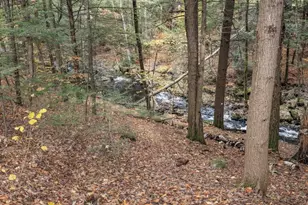 6 Birch Tree Ln, Hillsboro, NH 03244 - Photo 9