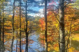 9 Pippen Ln, Pittsfield, NH 03263 - Photo 55