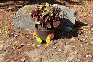 7 Kenyann Dr, Wolfeboro, NH 03894 - Photo 29