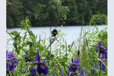 13 Ferry Road, Bow, NH 03304 - Photo 57