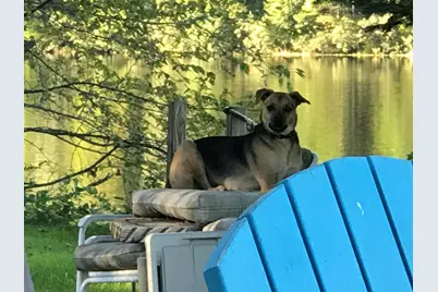 13 Ferry Road, Bow, NH 03304 - Photo 53