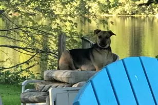 13 Ferry Rd, Bow, NH 03304 - Photo 53