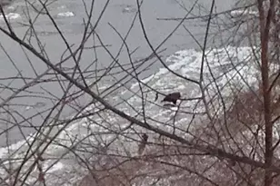 13 Ferry Rd, Bow, NH 03304 - Photo 55