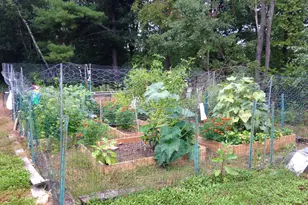 13 Ferry Rd, Bow, NH 03304 - Photo 47