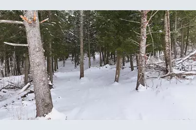 1090 Center Road Lot #3, Albany, VT 05845 - Photo 7