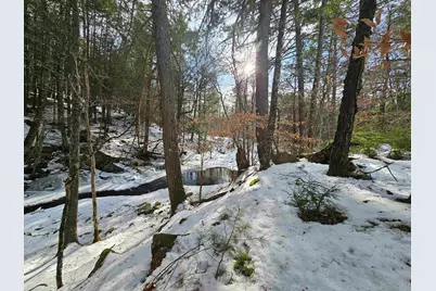 756 Turkey Mountain Road, Jamaica, VT 05343 - Photo 41