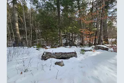 756 Turkey Mountain Road, Jamaica, VT 05343 - Photo 43