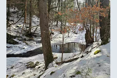 756 Turkey Mountain Road, Jamaica, VT 05343 - Photo 5