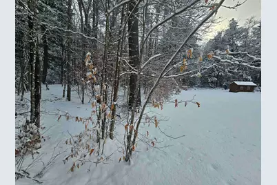 756 Turkey Mountain Road, Jamaica, VT 05343 - Photo 49