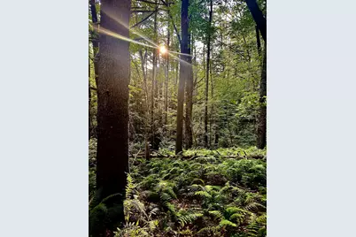 27 Hillside Drive, Allenstown, NH 03275 - Photo 41