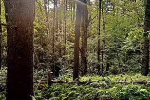 27 Hillside Dr, Allenstown, NH 03275 - Photo 41