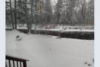 16 Hodsdon Shore Road, Ossipee, NH 03814 - Photo 11