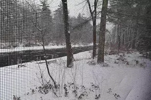 16 Hodsdon Shore Rd, Ossipee, NH 03814 - Photo 35