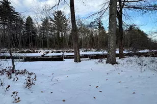 16 Hodsdon Shore Rd, Ossipee, NH 03814 - Photo 39