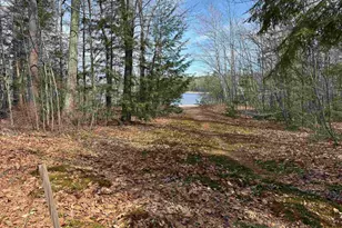 775 Goose Pond Rd, Canaan, NH 03741 - Photo 49
