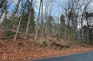 775 Goose Pond Rd, Canaan, NH 03741 - Photo 19