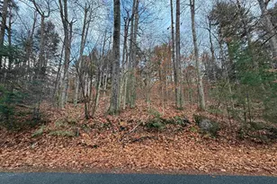 775 Goose Pond Rd, Canaan, NH 03741 - Photo 21