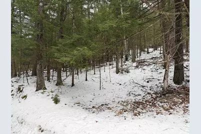 00 Wetherbee Road #19, Lyman, NH 03585 - Photo 1