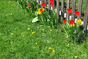 23 Countryside Ave, Berlin, NH 03570 - Photo 57