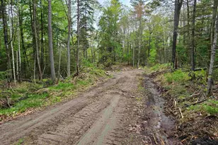 Tbd Stocker Pond Rd, Grantham, NH 03753 - Photo 13