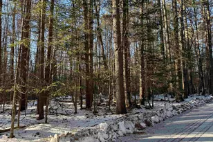 Blueberry Woods Dr, Canaan, NH 03741 - Photo 1