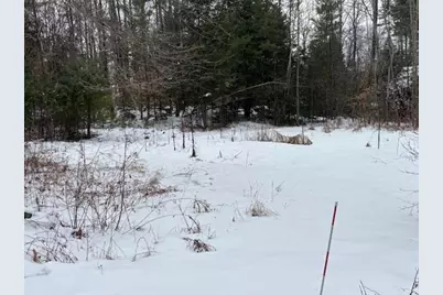 60 Pine Meadows Circle, Bennington, NH 03442 - Photo 9