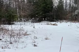 60 Pine Meadows Cir, Bennington, NH 03442 - Photo 9