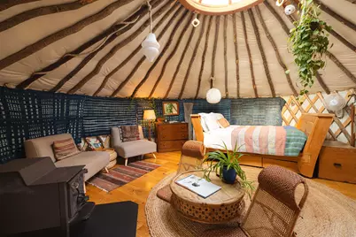 135 Fred Houghton Road, Putney, VT 05346 - Photo 53