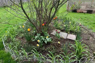 111 Main St, New Ipswich, NH 03071 - Photo 11