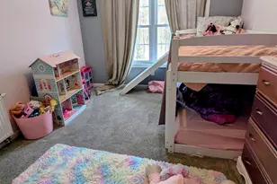 13 Lottie Ln, Chichester, NH 03258 - Photo 27