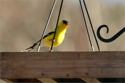 21 Quarry Road, Campton, NH 03223 - Photo 57