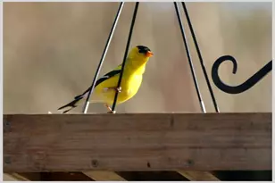 21 Quarry Rd, Campton, NH 03223 - Photo 57