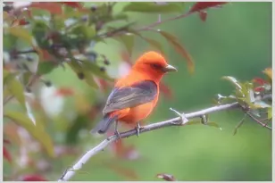 21 Quarry Rd, Campton, NH 03223 - Photo 55